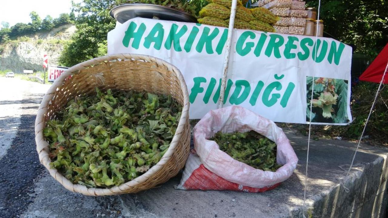 Haber gorseli