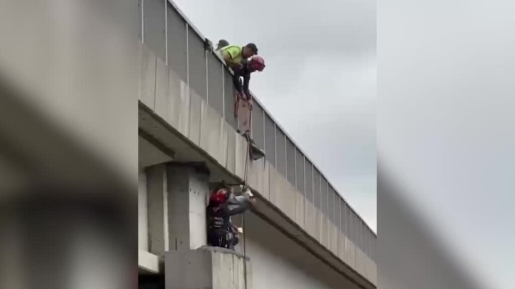 Kuzey Marmara Otoyolu’nda nefes kesen keçi kurtarma operasyonu