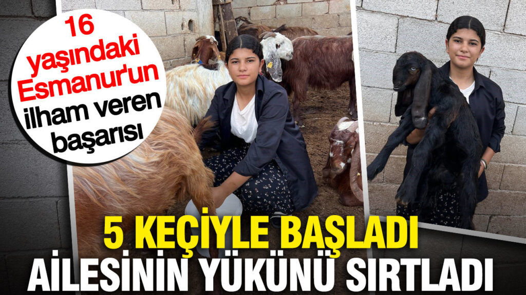 16 yaşındaki Esmanur’un ilham veren hikayesi: 5 keçi ile başladı, ailesine destek oldu